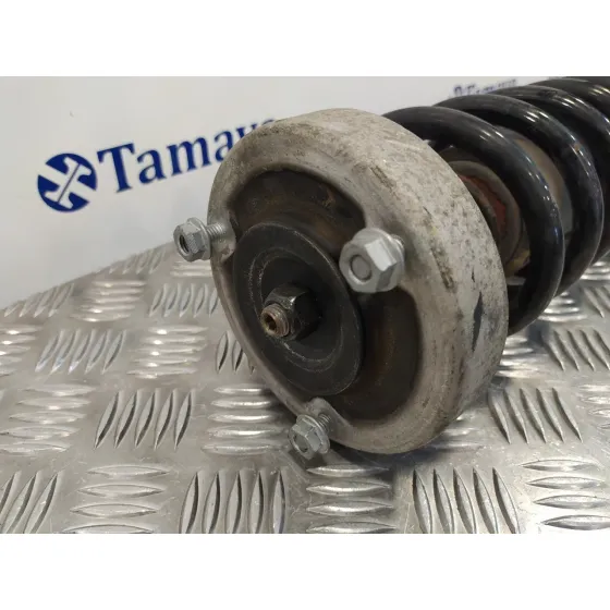 Amortiguador Trasero Derecho para Bmw Serie 5 Berlina (E60)