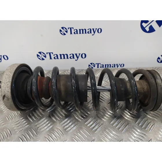 Amortiguador Trasero Derecho para Bmw Serie 5 Berlina (E60)