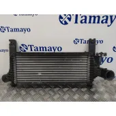 Intercooler para Nissan Pathfinder (R51)