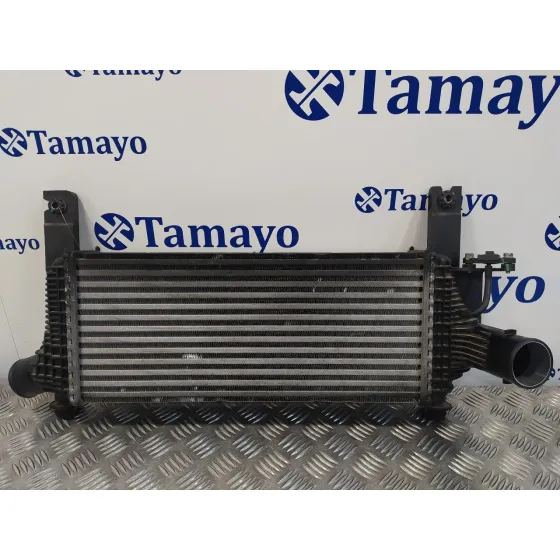 Intercooler para Nissan Pathfinder (R51)
