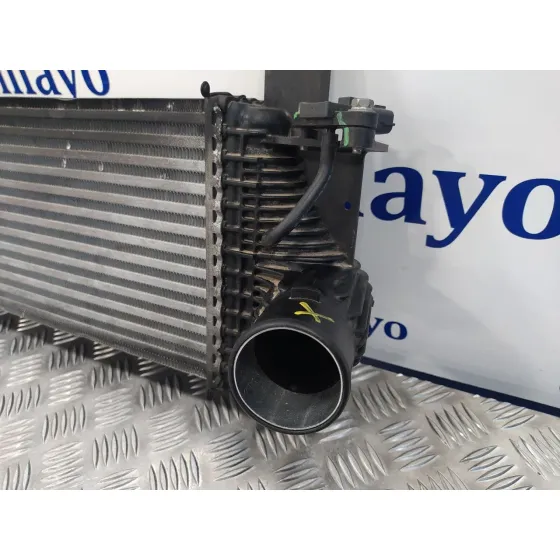 Intercooler para Nissan Pathfinder (R51)