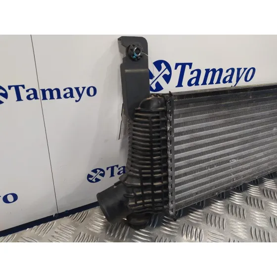 Intercooler para Nissan Pathfinder (R51)