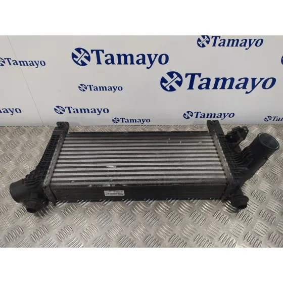 Intercooler para Nissan Pathfinder (R51)