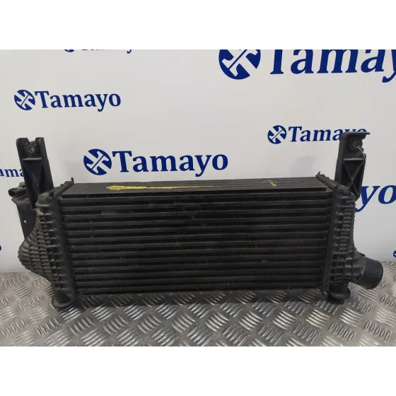 Intercooler para Nissan Pathfinder (R51)