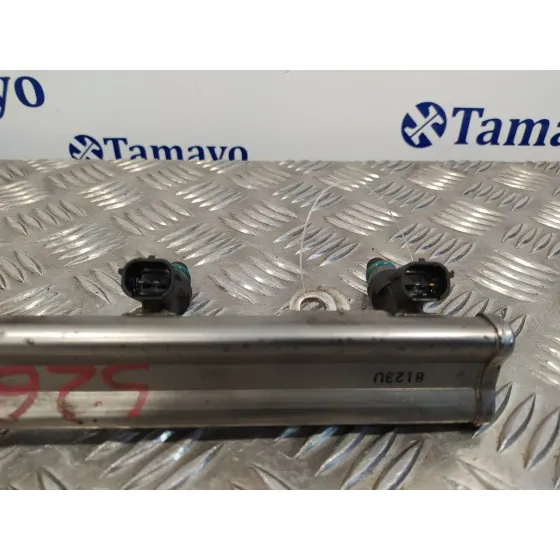 Rampa Inyectora para Nissan Qashqai (J10)