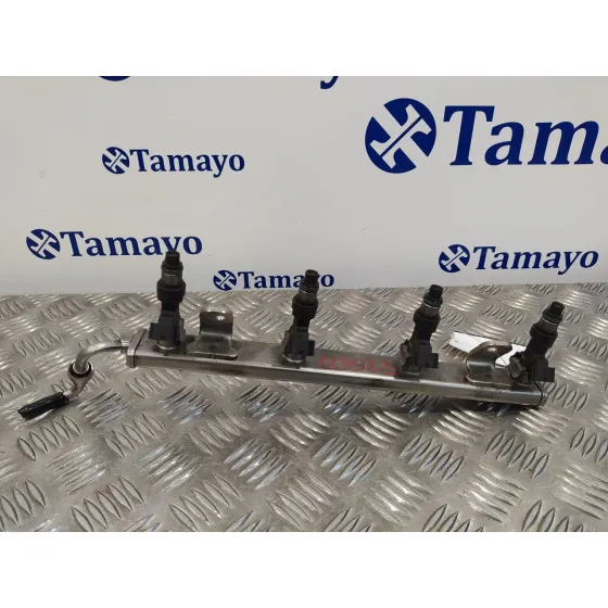 Rampa Inyectora para Nissan Qashqai (J10)