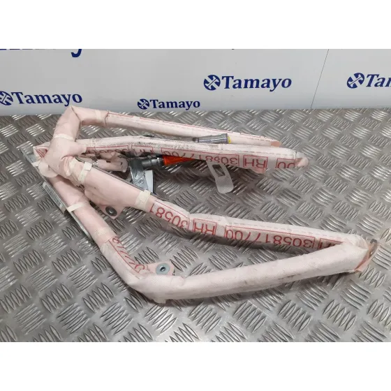 Airbag Cortina Delantero Derecho para Nissan Pathfinder (R51)
