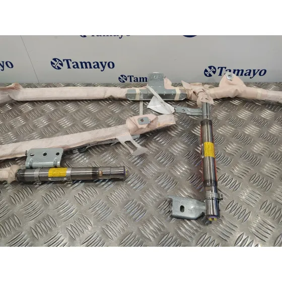 Airbag Cortina Delantero Izquierdo para Nissan Pathfinder (R51)