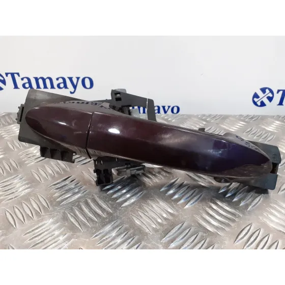 Maneta Exterior Trasera Izquierda para Ford Fiesta (Cb1)