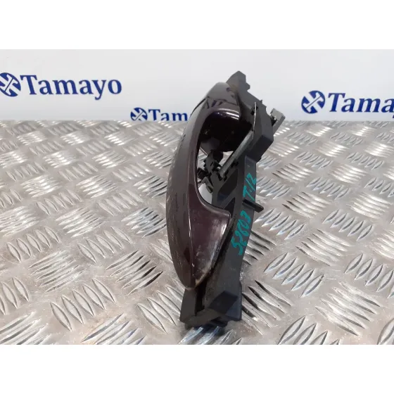 Maneta Exterior Trasera Izquierda para Ford Fiesta (Cb1)