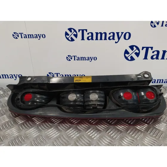 Piloto Trasero Derecho para Fiat Doblo (119)