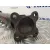 Transmision Central para Nissan Cabstar ->09.06