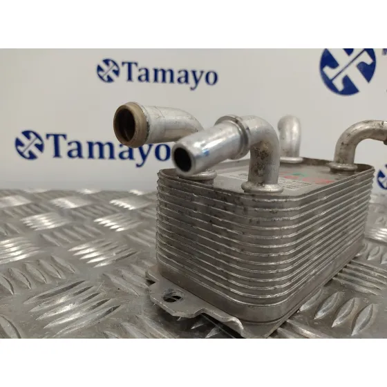 Enfriador Aceite Direccion para Volvo S40 Berlina