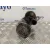 Motor Arranque para Seat Ibiza (6J5)