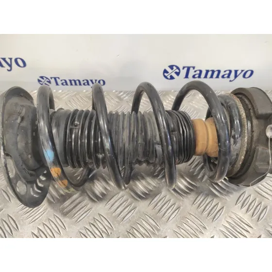 Amortiguador Delantero Izquierdo para Audi A3 (8P)
