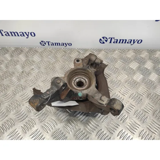 Mangueta Delantera Izquierda para Lancia Ypsilon (101)