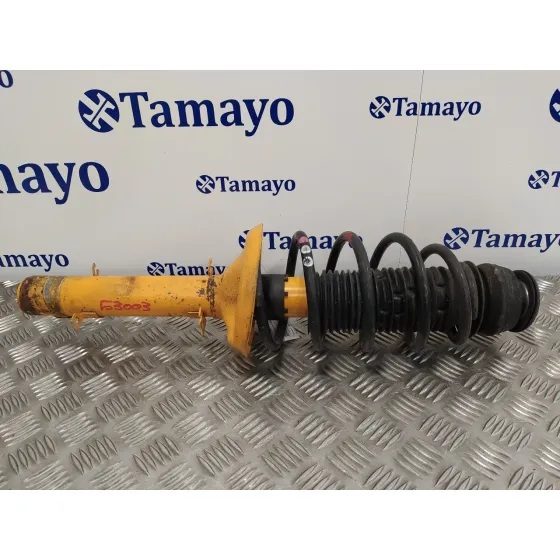 Amortiguador Delantero Izquierdo para Audi A3 (8L)