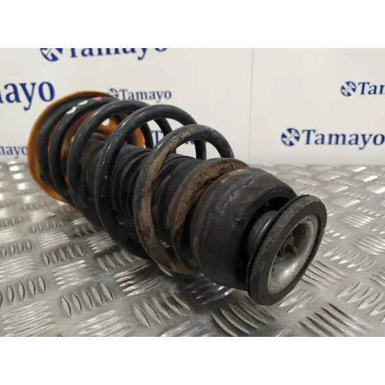 Amortiguador Delantero Izquierdo para Audi A3 (8L)