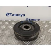 Polea Ciguenal para Nissan Qashqai (J10)