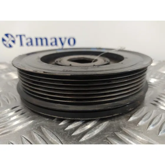Polea Ciguenal para Nissan Qashqai (J10)