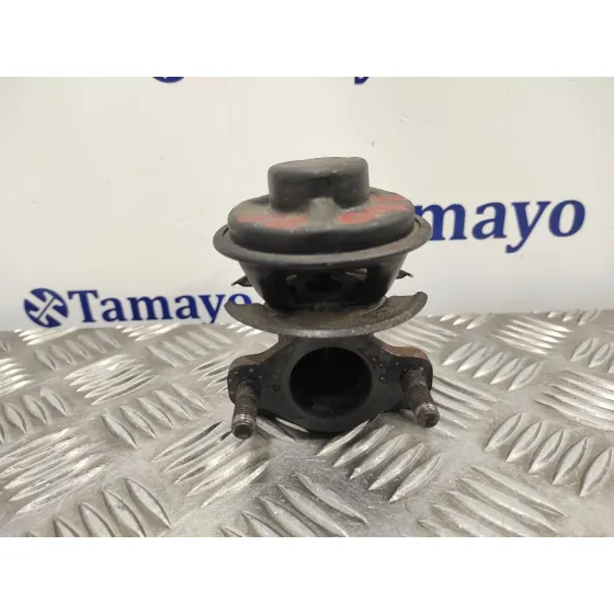 Valvula Egr para Hyundai Terracan (Hp)