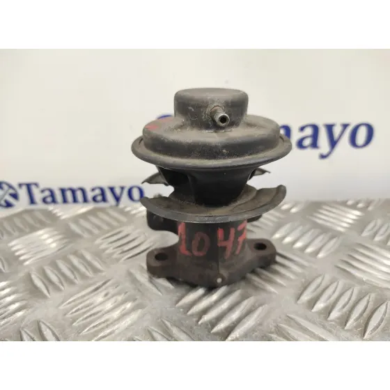 Valvula Egr para Hyundai Terracan (Hp)