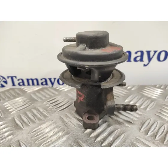 Valvula Egr para Hyundai Terracan (Hp)
