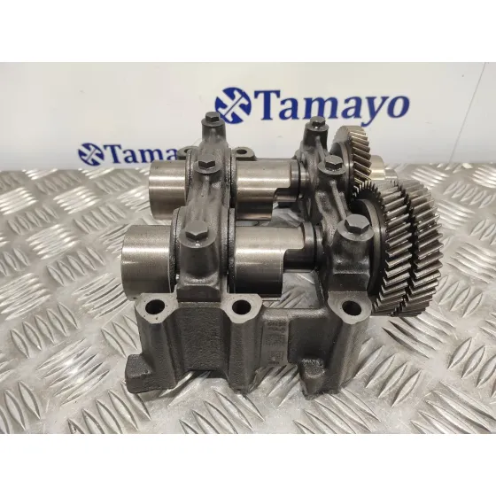 Contrapeso Ciguenal para Nissan Qashqai (J10)