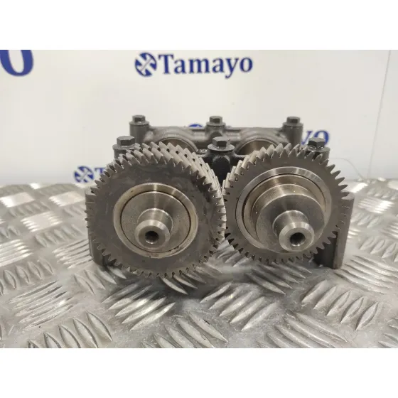 Contrapeso Ciguenal para Nissan Qashqai (J10)