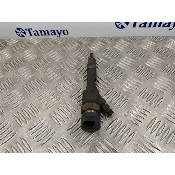 Inyector para Renault Laguna Ii (Bg0)