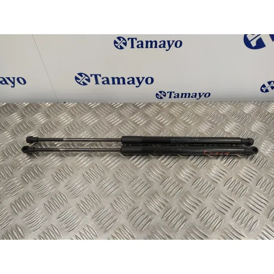 Amortiguadores Maletero / Porton para Volvo C30