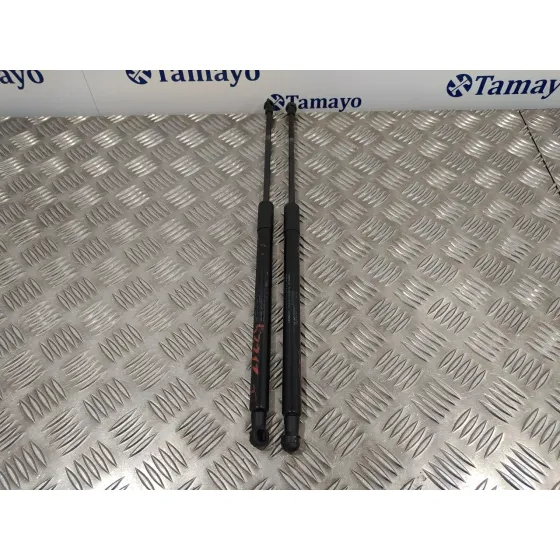 Amortiguadores Maletero / Porton para Volvo C30