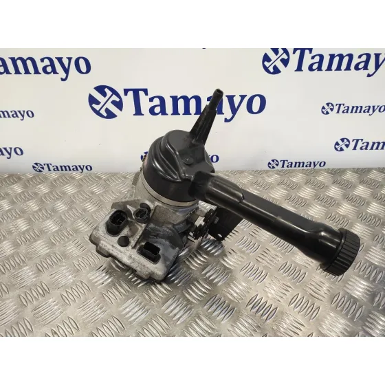 Bomba Direccion para Peugeot 308 Sw