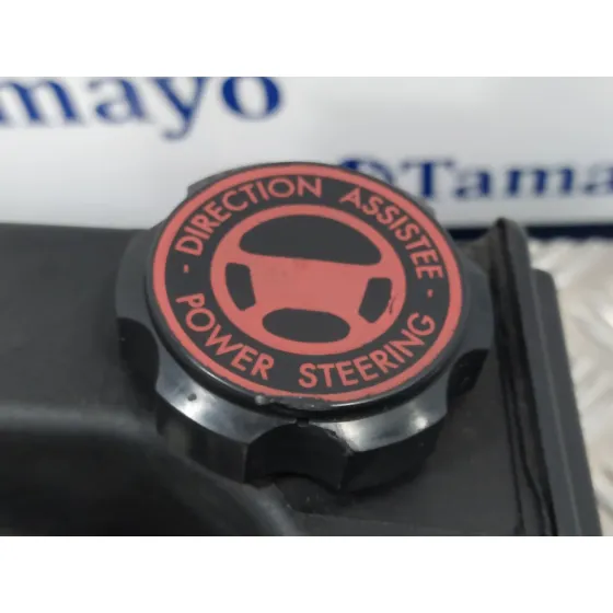 Bomba Direccion para Citroën Berlingo