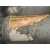 Bomba Direccion para Volvo S40 Berlina