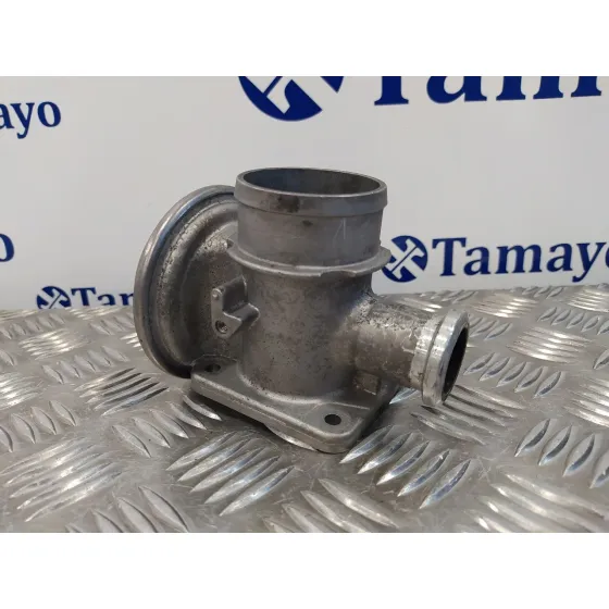 Valvula Egr para Bmw Serie 3 Berlina (E46)