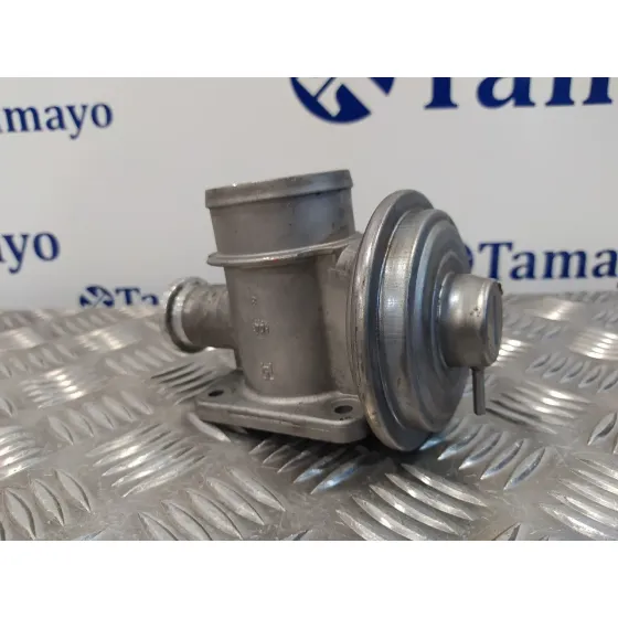 Valvula Egr para Bmw Serie 3 Berlina (E46)