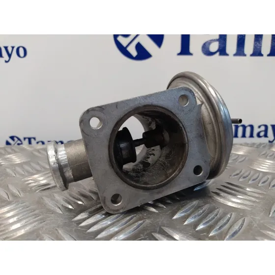 Valvula Egr para Bmw Serie 3 Berlina (E46)