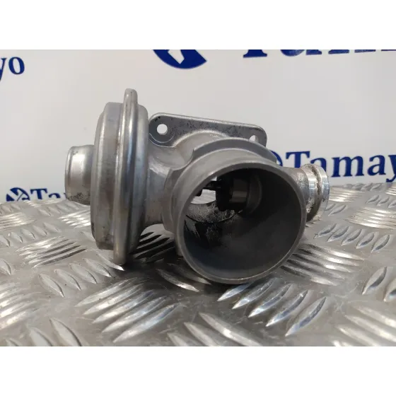 Valvula Egr para Bmw Serie 3 Berlina (E46)