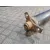 Transmision Central para Bmw Serie 1 Berlina (E81/E87)