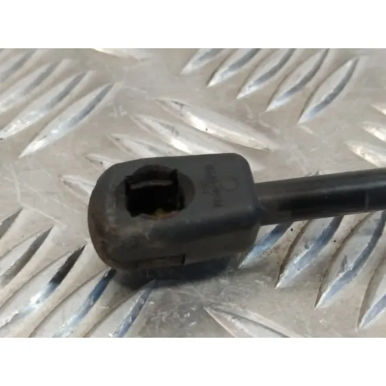 Amortiguadores Maletero / Porton para Audi A4 Avant (8K5) (2008)