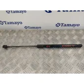 Amortiguadores Maletero / Porton para Audi A4 Avant (8K5) (2008)