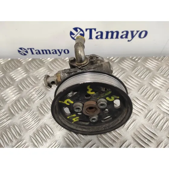 Bomba Direccion para Seat Toledo (1M2)