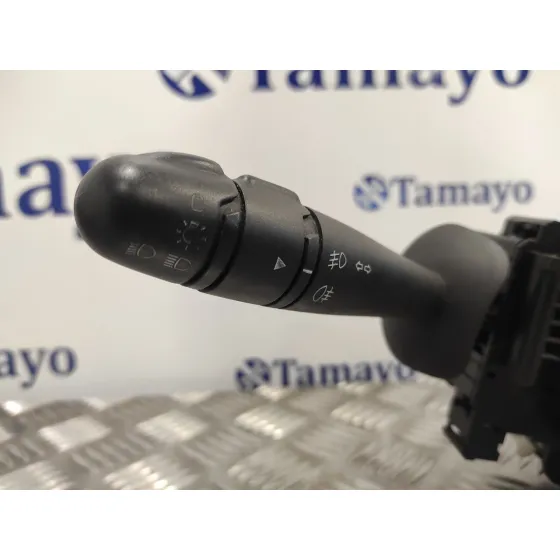 Mando Multifuncion para Renault Vel Satis (Bj0)