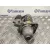 Motor Arranque para Bmw Z3 Roadster (E36)