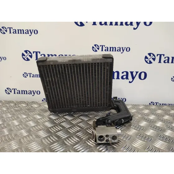 Evaporador Aire Acondicionado para Land Rover Freelander (Lr2)