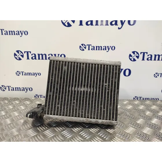 Evaporador Aire Acondicionado para Land Rover Freelander (Lr2)