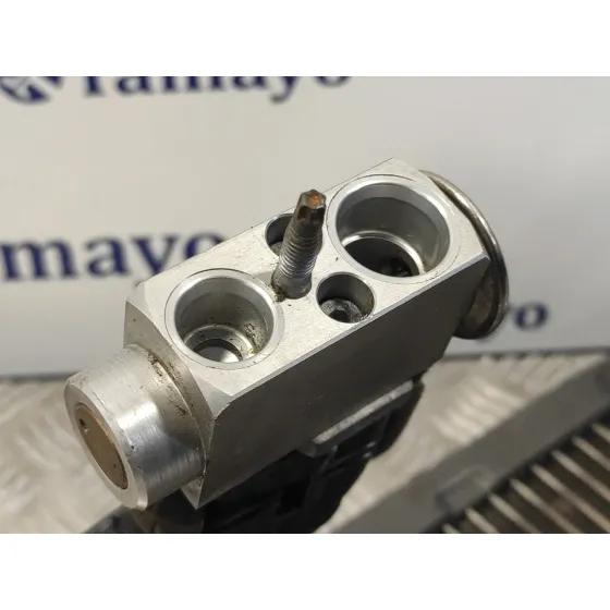 Evaporador Aire Acondicionado para Land Rover Freelander (Lr2)
