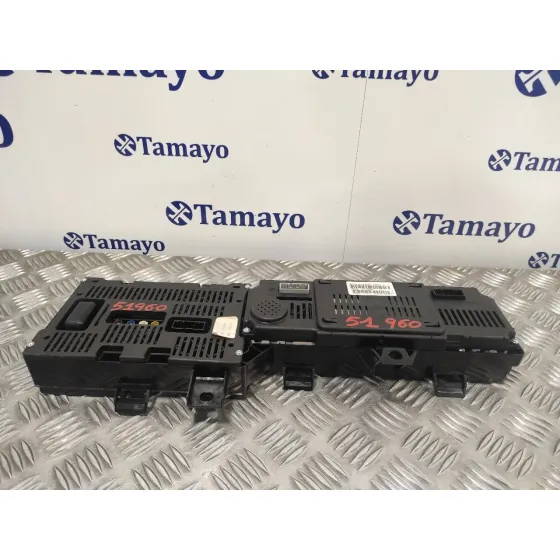 Cuadro Instrumentos para Renault Scenic Iii