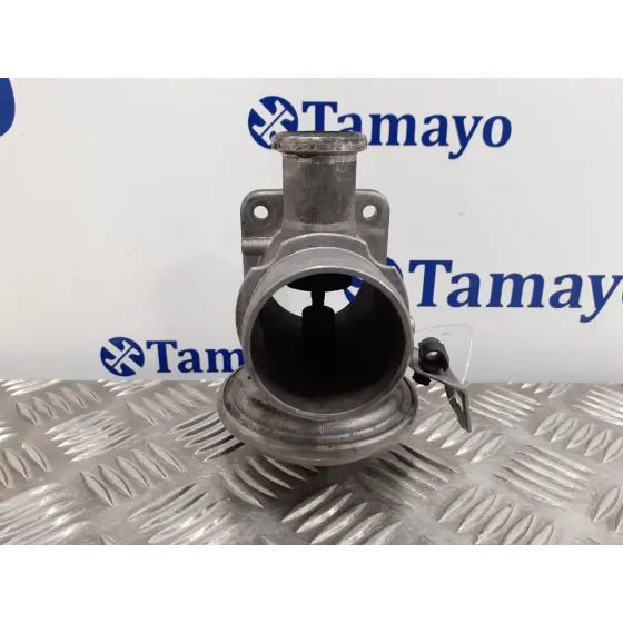 Valvula Egr para Bmw Serie 3 Compact (E46)